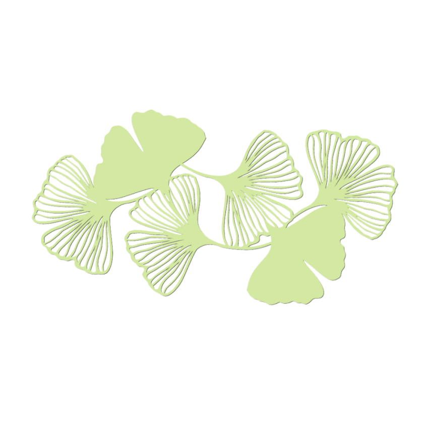Ginkgo Yarpaqlı Divar Dekoru - 1